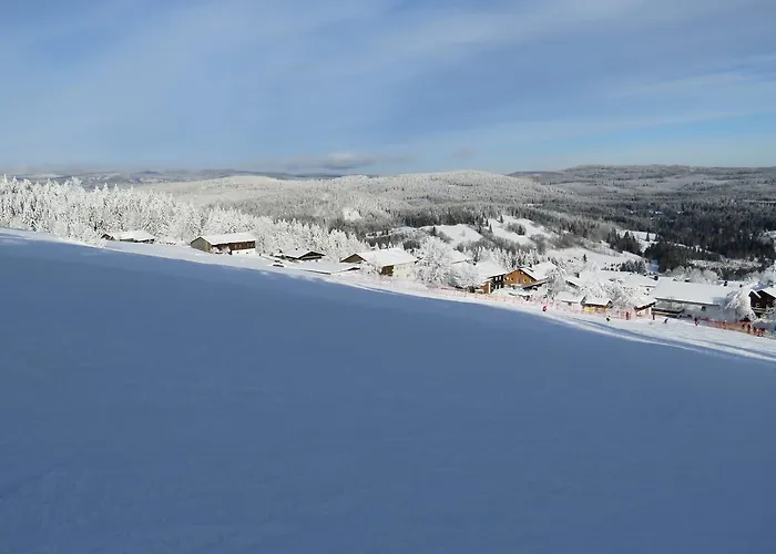 Mitterdorf * 미테르피르미안스로이트